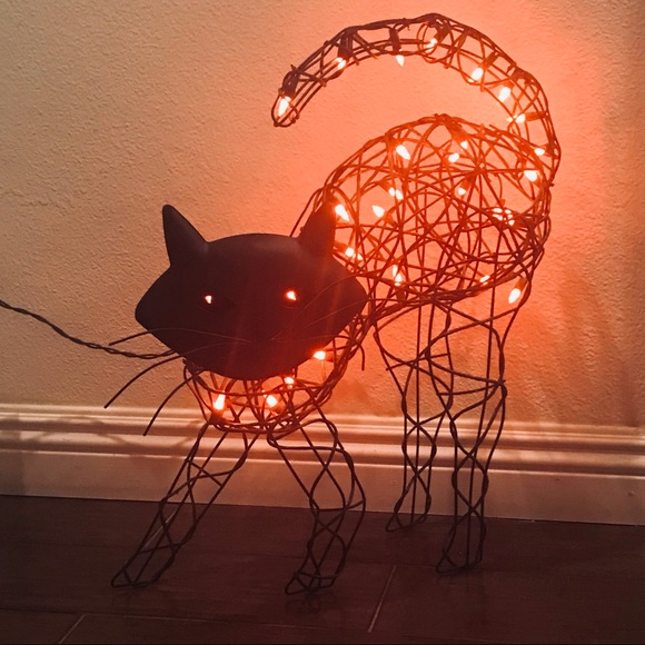 Other - 💜HP💜Needs A Home / Big Bright Pussy Cat